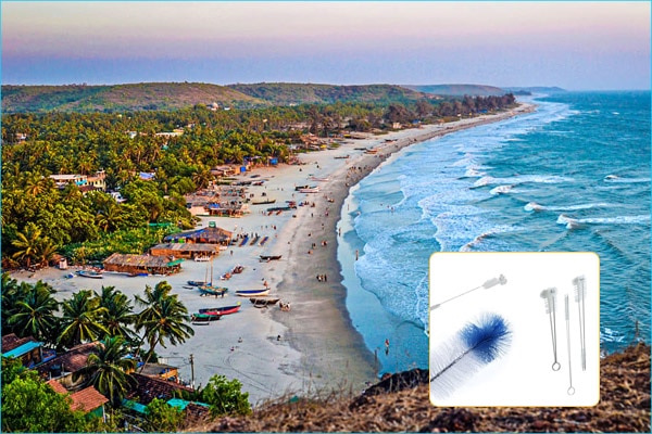 goa #alt_taggoa